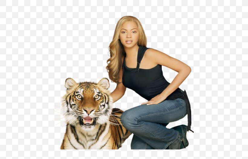 Beyoncé Tiger Cat Human Behavior Fur, PNG, 600x527px, Watercolor, Cartoon, Flower, Frame, Heart Download Free