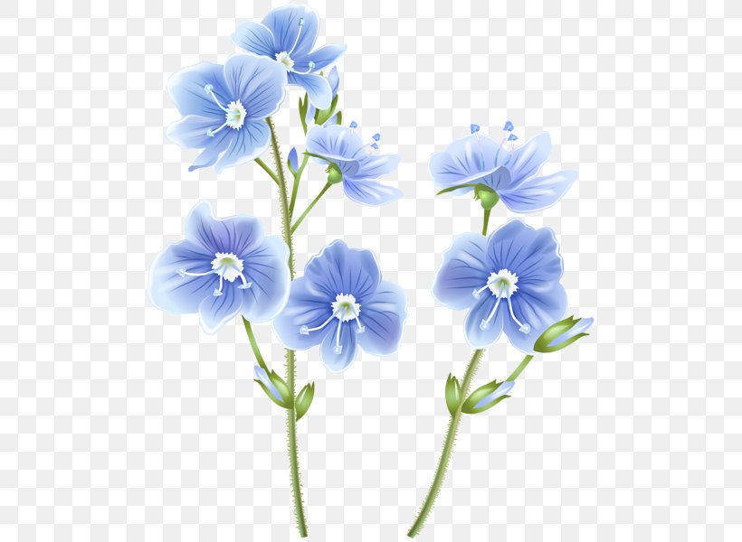 Clip Art Image Free Content JPEG, PNG, 502x600px, Visual Arts, Blue, Flower, Flowering Plant, Morning Glory Download Free