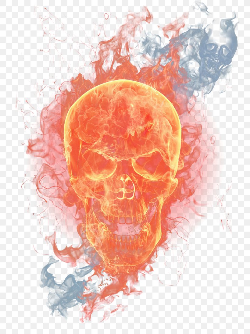 Flame Skull, PNG, 800x1096px, Watercolor, Cartoon, Flower, Frame, Heart Download Free