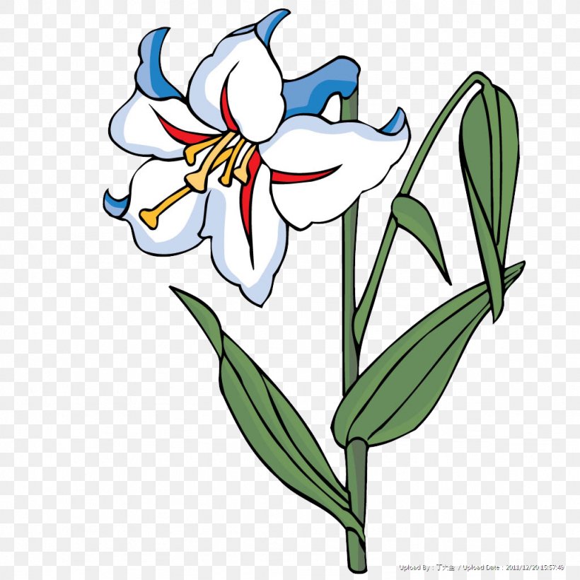 Floral Design Flower White, PNG, 1024x1024px, Floral Design, Art, Artwork, Blue, Coreldraw Download Free