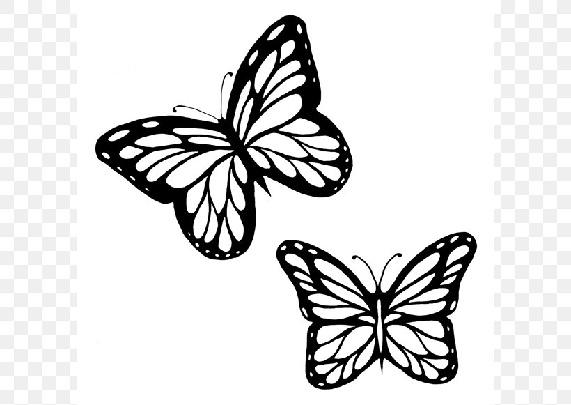 Monarch Butterfly Outline Drawing Clip Art, PNG, 600x581px, Butterfly, Black And White, Brush Footed Butterfly, Caterpillar, Color Download Free