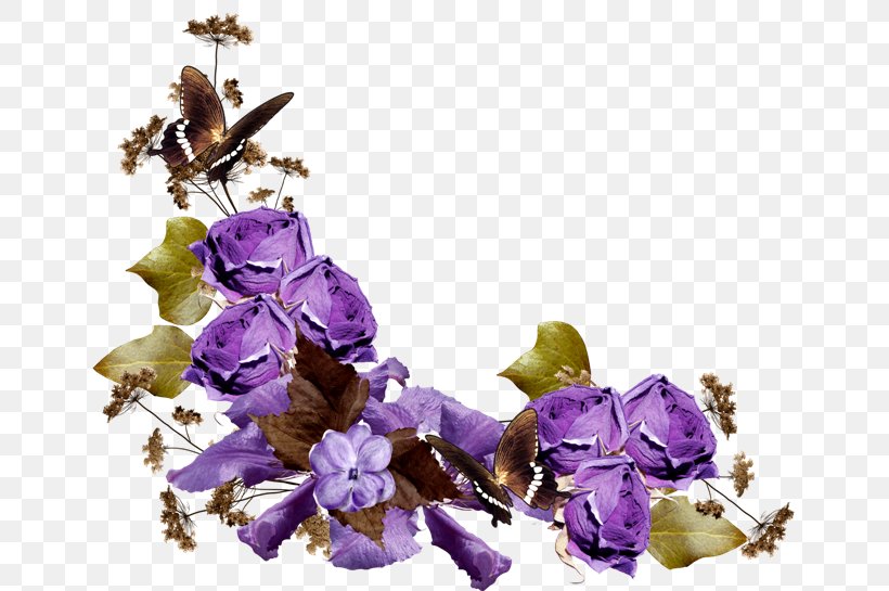 Lavender Raster Graphics Clip Art, PNG, 650x545px, Lavender, Depositfiles, Flower, Flowering Plant, Lilac Download Free