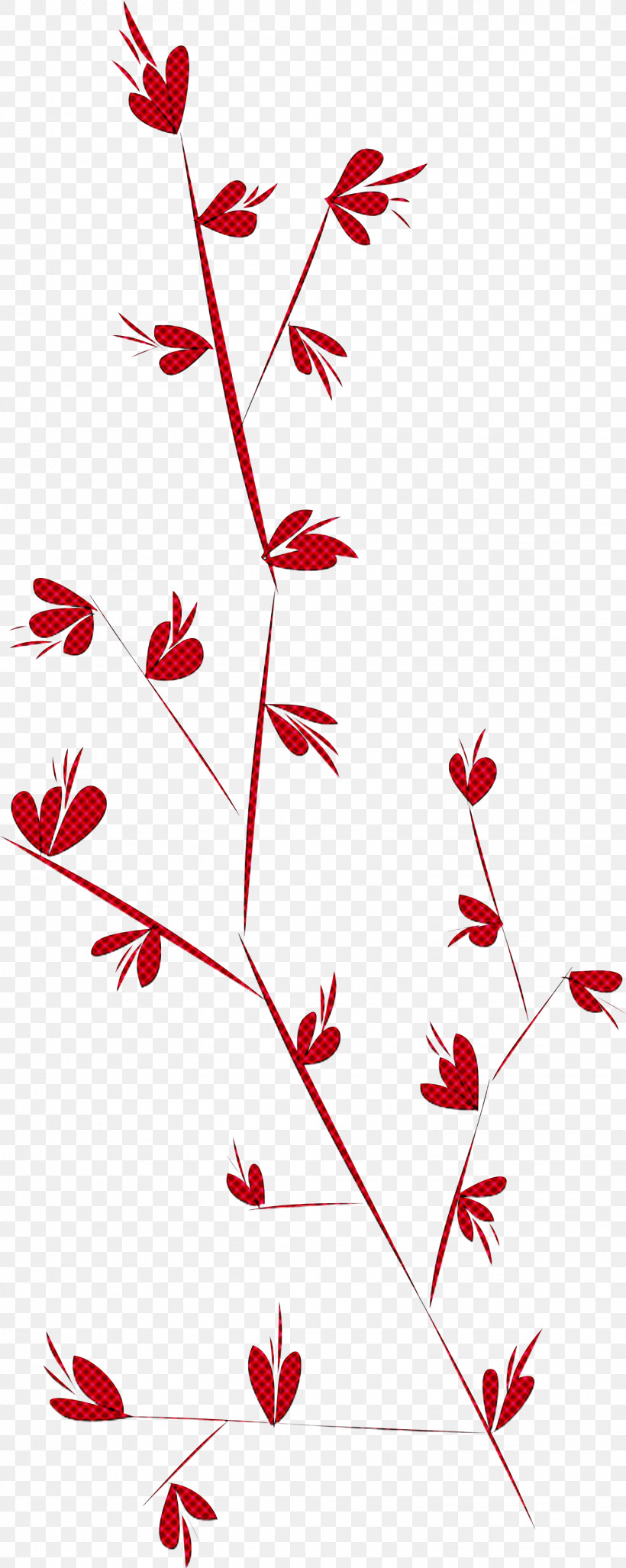 Simple Leaf Simple Leaf Drawing Simple Leaf Outline, PNG, 1559x3907px, Simple Leaf, Cartoon, Drawing, Floral Design, Leaf Download Free