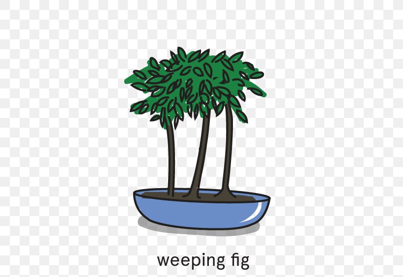 Tree Flowerpot Bonsai, PNG, 475x564px, Tree, Bonsai, Flowerpot, Grass, Houseplant Download Free