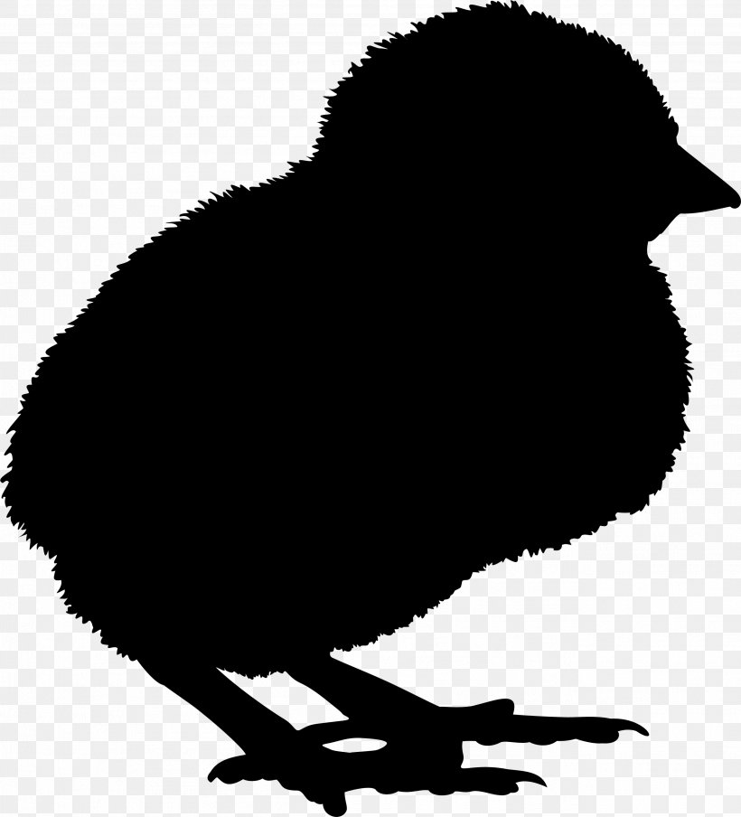 Clip Art Fauna Beak Silhouette Chicken As Food, PNG, 2607x2875px, Fauna, Beak, Bird, Chicken As Food, Silhouette Download Free