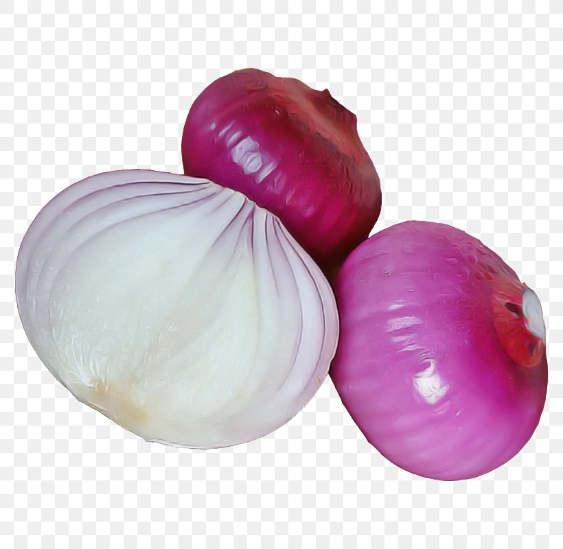 Red Onion Onion Vegetable Food Allium, PNG, 800x800px, Red Onion, Allium, Amaryllis Family, Food, Onion Download Free