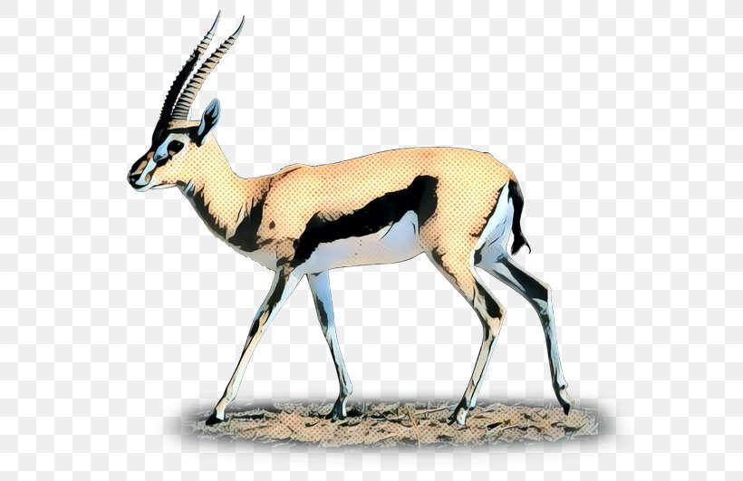 Gemsbok Springbok Moschus Deer Fauna, PNG, 602x531px, Gemsbok, Animal, Antelope, Chamois, Cowgoat Family Download Free