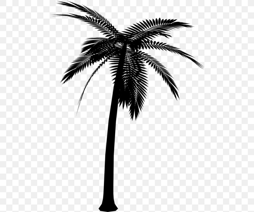 Vector Graphics Clip Art Palm Trees Silhouette, PNG, 500x684px, Palm Trees, Arecales, Asian Palmyra Palm, Attalea Speciosa, Blackandwhite Download Free