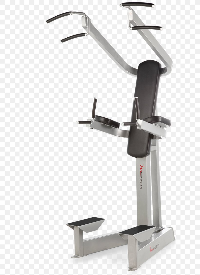 Sport Horizontal Bar Parallel Bars Physical Fitness Exercise Equipment, PNG, 750x1125px, Sport, Bench, Dumbbell, Exercise, Exercise Equipment Download Free