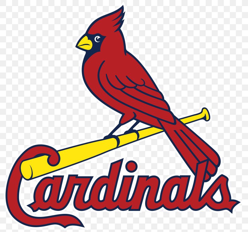 St. Louis Cardinals MLB Palm Beach Cardinals Baseball, PNG, 806x768px, St Louis Cardinals, Area, Art, Artwork, Baseball Download Free