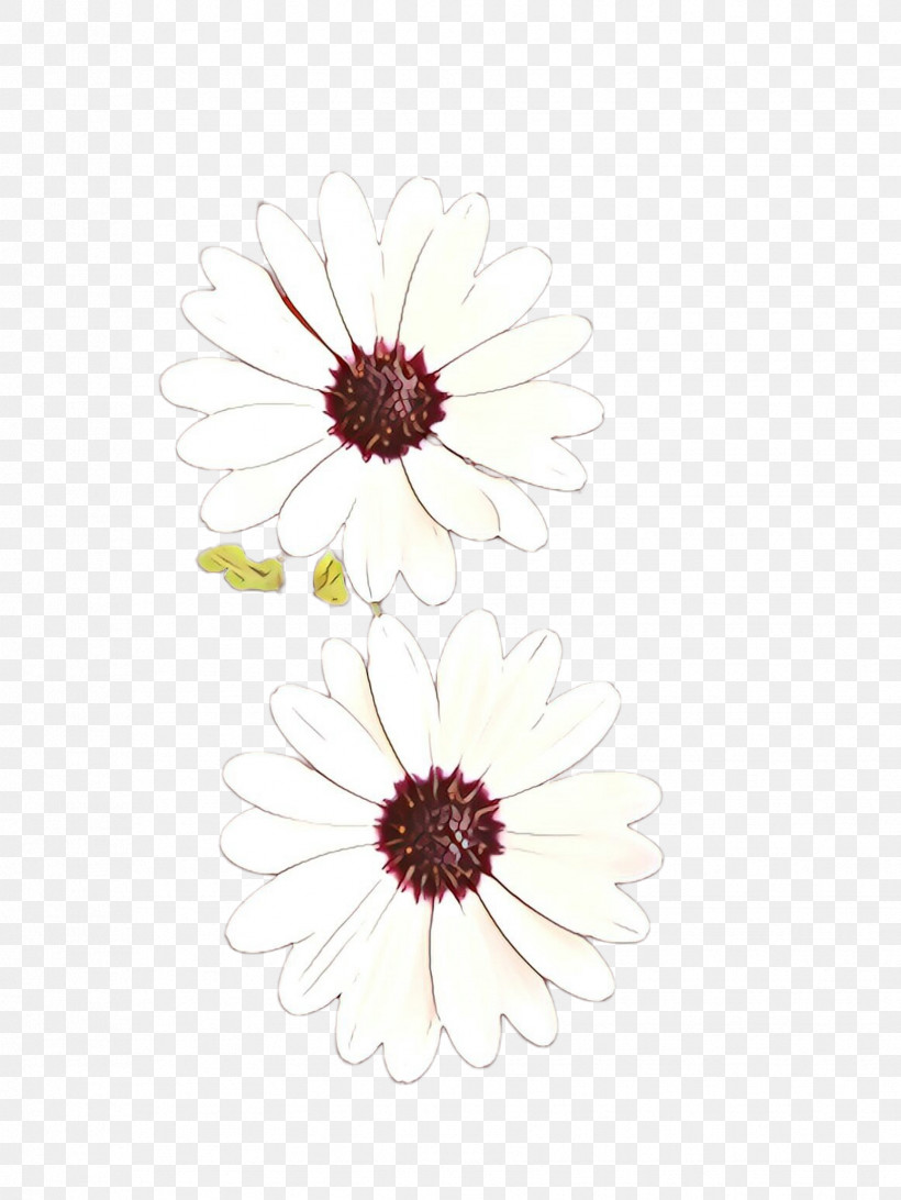 Floral Design, PNG, 1732x2307px, White, Daisy Family, Floral Design, Flower, Gerbera Download Free