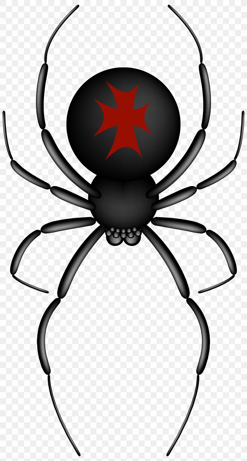 Insects & Spiders Spider Web Clip Art, PNG, 4292x8000px, Spider, Animal, Arthropod, Artwork, Black And White Download Free
