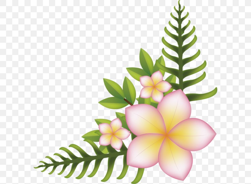 Right Angle Flower Vector Graphics Image, PNG, 600x603px, Right Angle, Botany, Copyright, Flower, Flowering Plant Download Free