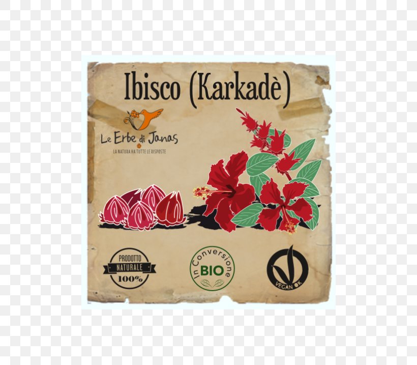 Roselle Henna Hibiscus Tea Skin Face, PNG, 500x717px, Roselle, Ayurveda, Color, Cosmetics, Face Download Free