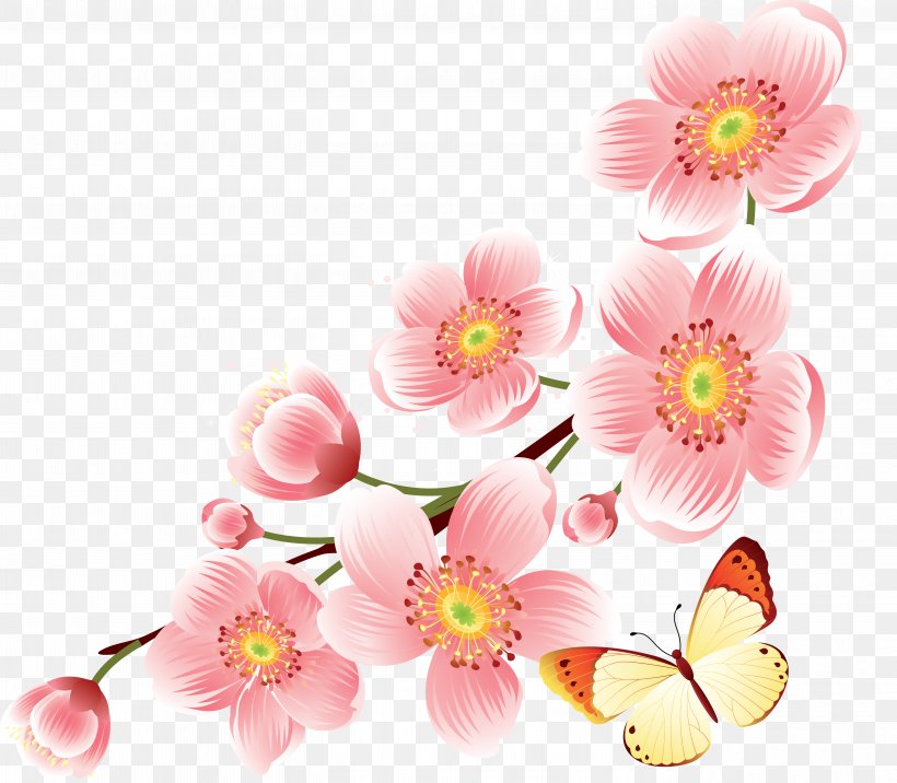 Cherry Blossom Clip Art, PNG, 5681x4962px, Cherry Blossom, Blossom, Cherry, Chrysanths, Cut Flowers Download Free