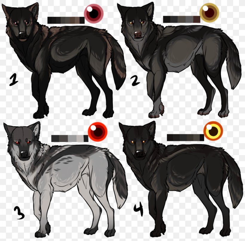 Dog Breed Schipperke Cat Character Mammal, PNG, 1024x1010px, Dog Breed, Breed, Carnivoran, Cat, Cat Like Mammal Download Free