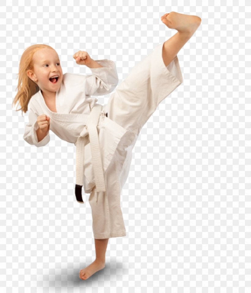 Karate Mixed Martial Arts Child Taekwondo, PNG, 1030x1206px, Watercolor, Cartoon, Flower, Frame, Heart Download Free