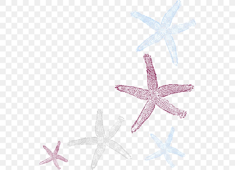 Starfish Royalty-free Clip Art, PNG, 546x595px, Starfish, Conch, Drawing, Echinoderm, Invertebrate Download Free