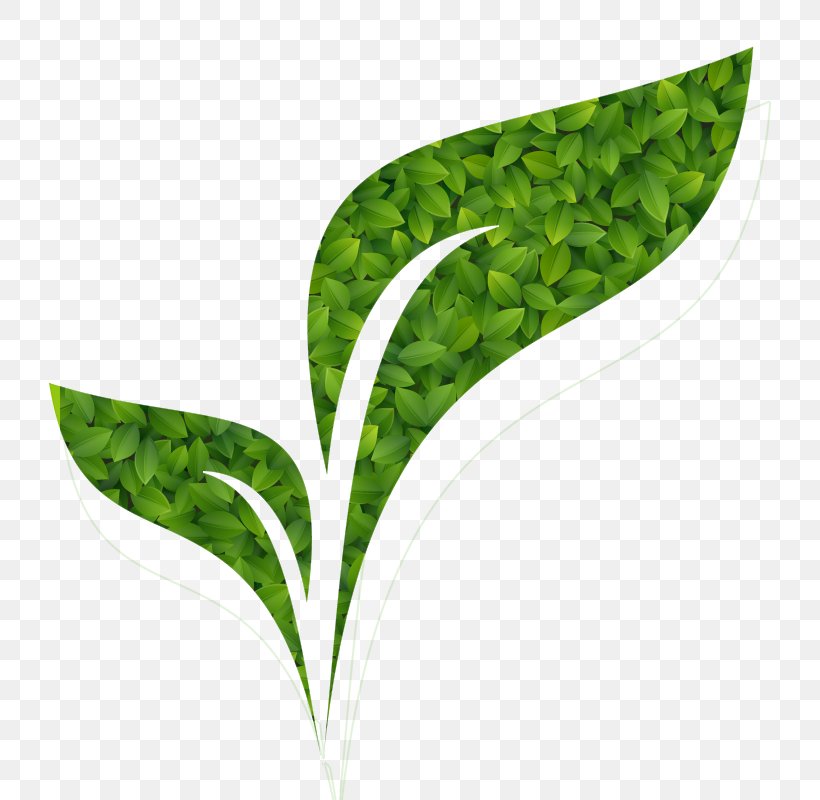 Image Environmentally Friendly Vector Graphics Stock Illustration Ink, PNG, 734x800px, Environmentally Friendly, Banner, Credential, Grass, Green Download Free