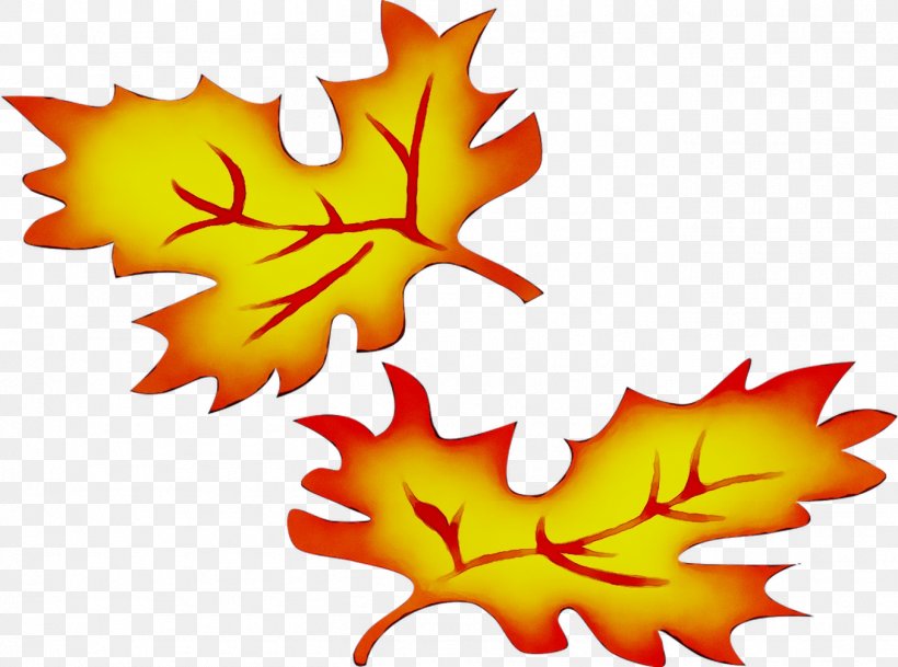 Maple Leaf Yellow Clip Art, PNG, 1354x1006px, Maple Leaf, Black Maple, Leaf, Plane, Plant Download Free