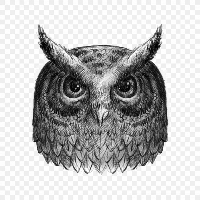 Owl Drawing Black And White, PNG, 1600x1600px, Owl, Animal, Beak, Bird, Bird Of Prey Download Free