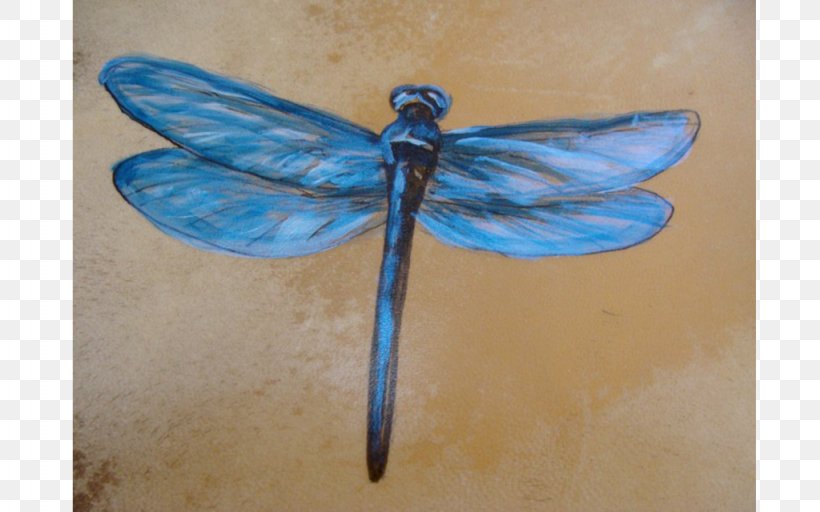 Taos Earth And Spirit Gallery Insect Drum Dragonfly, PNG, 1024x640px, Taos, All Rights Reserved, Art Museum, Arthropod, Cobalt Blue Download Free