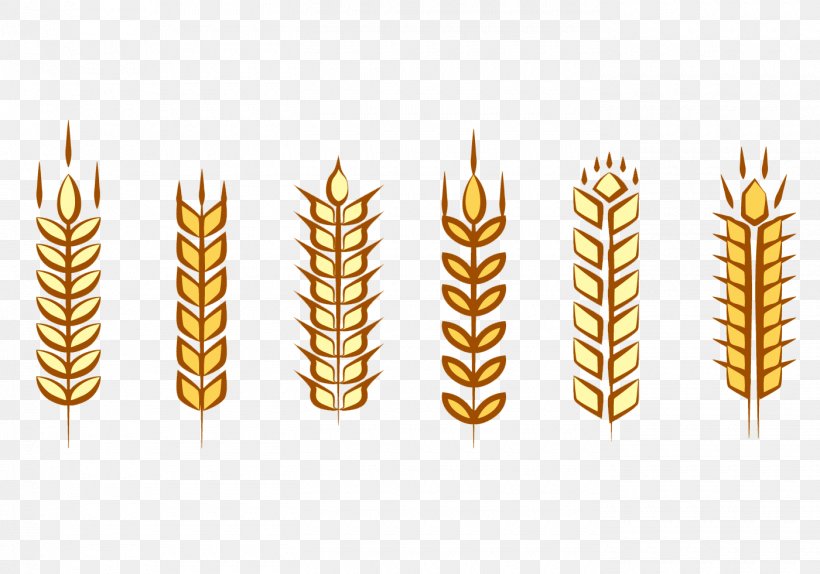 Maize Euclidean Vector Wheat Ear, PNG, 1400x980px, Maize, Commodity, Drawing, Ear, Food Download Free