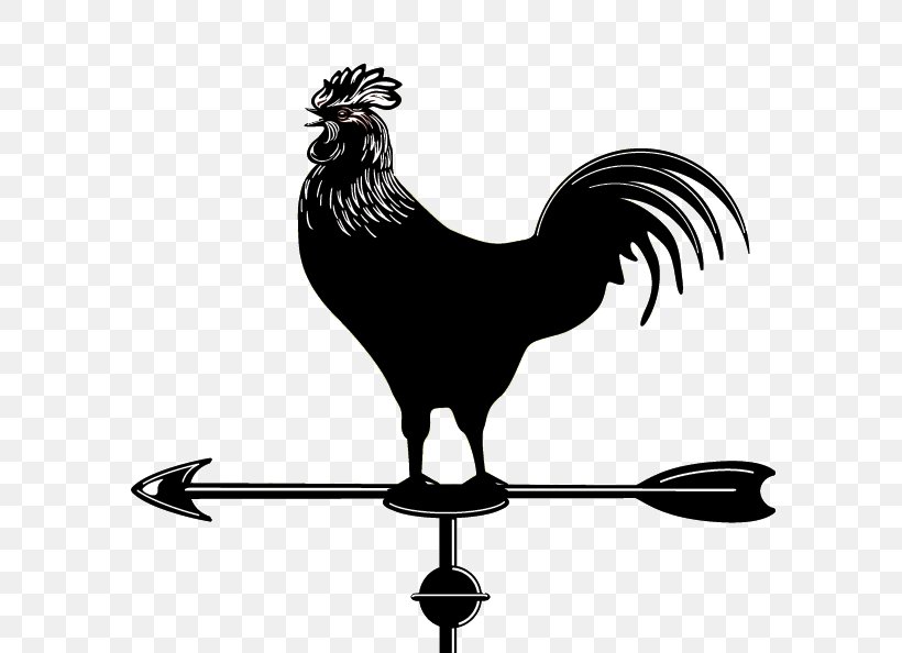 Rooster Beak White Chicken Meat Clip Art, PNG, 594x594px, Rooster, Beak, Bird, Black And White, Chicken Download Free