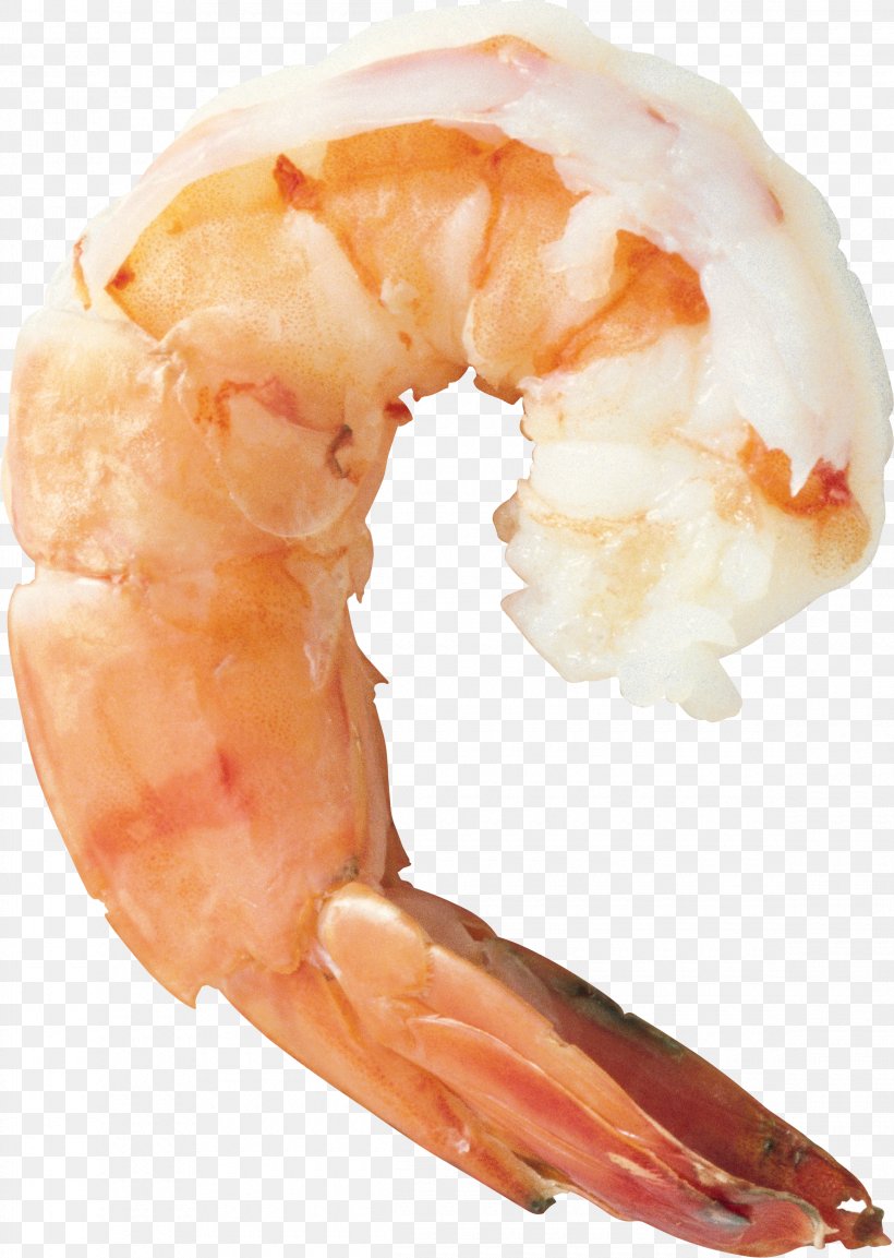 Shrimp Prawn Cocktail Seafood Cooking, PNG, 2320x3264px, Caridea, Animal Source Foods, Caridean Shrimp, Cooking, Decapoda Download Free