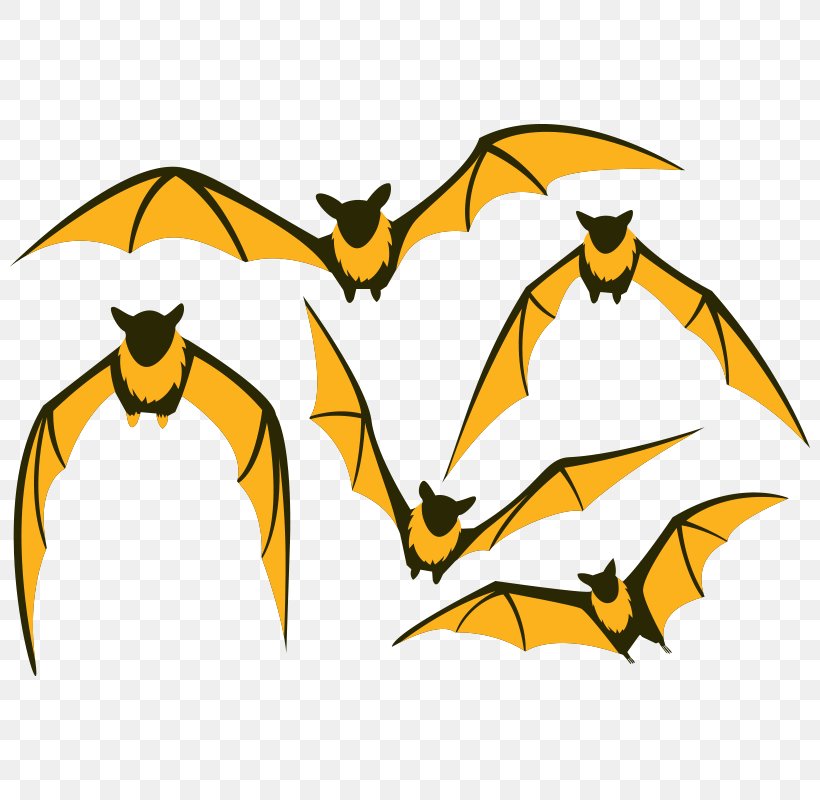 Bat Flight Large Flying Fox Clip Art, PNG, 800x800px, Bat, Art, Artwork, Beak, Cartoon Download Free