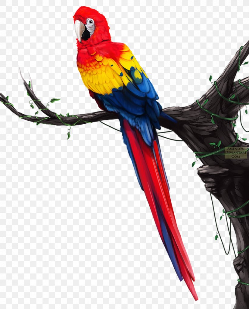 Budgerigar Parrot Blue-and-yellow Macaw Parakeet, PNG, 900x1117px, Budgerigar, Animal, Beak, Bird, Blueandyellow Macaw Download Free