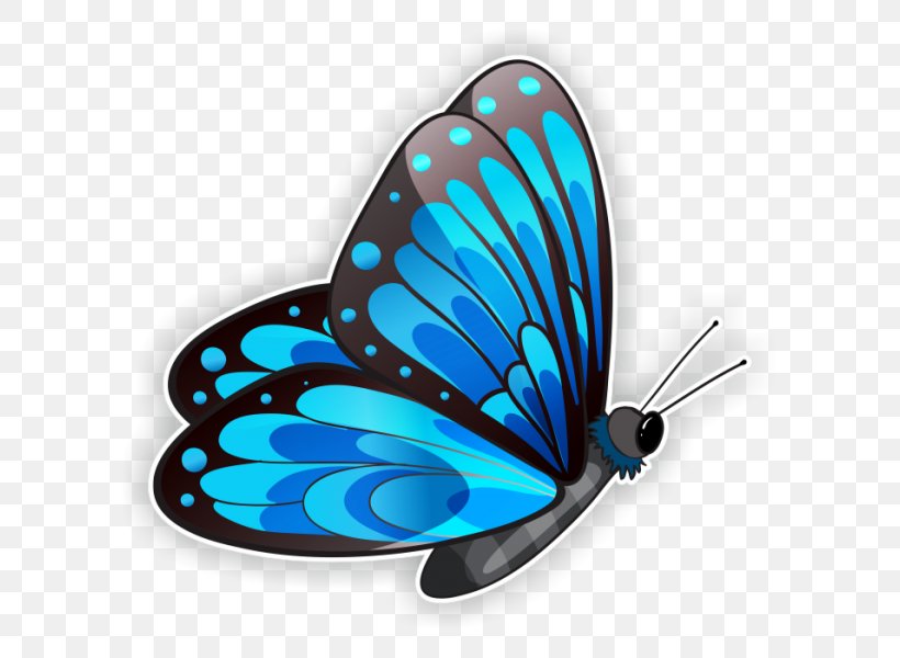 Clip Art Image Morpho Glasswing Butterfly, PNG, 600x600px, Morpho, Blue, Brush Footed Butterfly, Brushfooted Butterflies, Butterflies Download Free