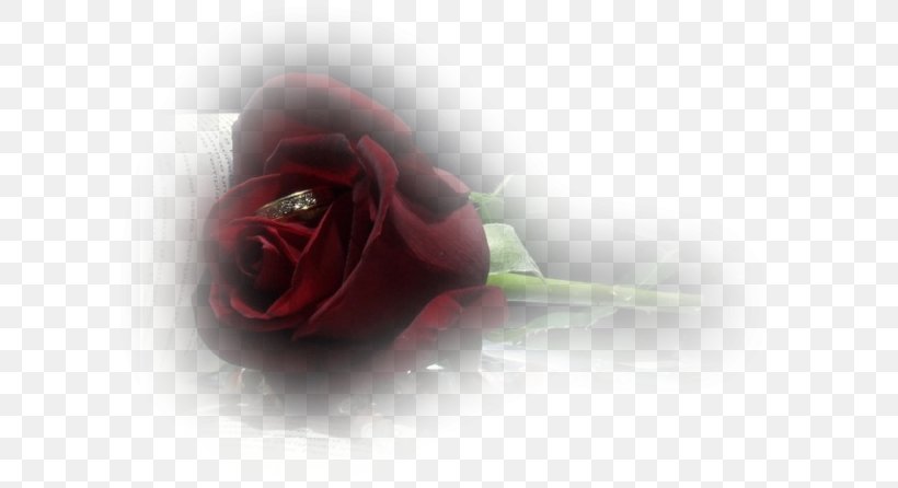 Love Flower Bouquet Petal, PNG, 600x446px, Love, Bride, Close Up, Flower, Flower Bouquet Download Free