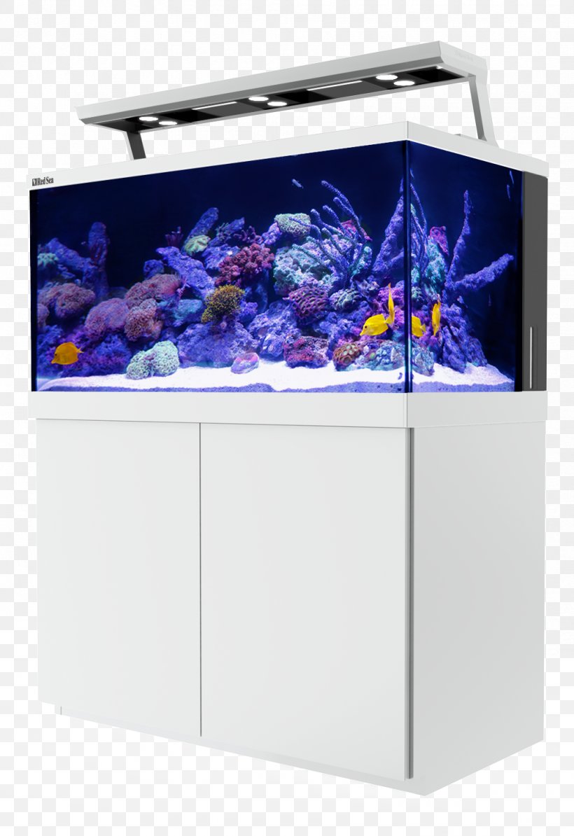 Reef Aquarium Light Coral Reef, PNG, 1030x1500px, Reef Aquarium, Aquarium, Aquarium Lighting, Aquariums, Cobalt Blue Download Free
