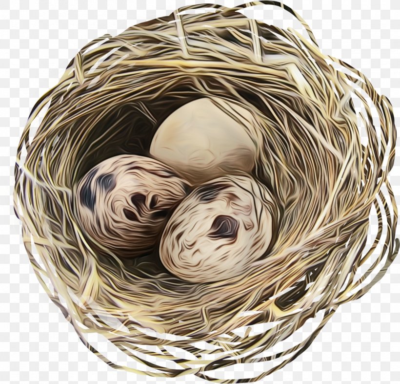 Bird Nest Nest Thread, PNG, 1400x1343px, Watercolor, Bird Nest, Nest, Paint, Thread Download Free