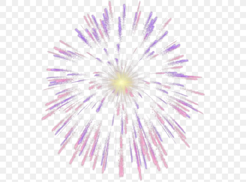 Fireworks Image Vector Graphics Firecracker, PNG, 550x608px, Fireworks, Animation, Explosion, Fire, Firecracker Download Free