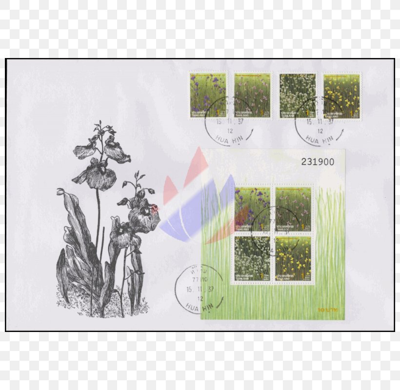 Picture Frames Tree Rectangle, PNG, 800x800px, Picture Frames, Border, Flora, Grass, Green Download Free
