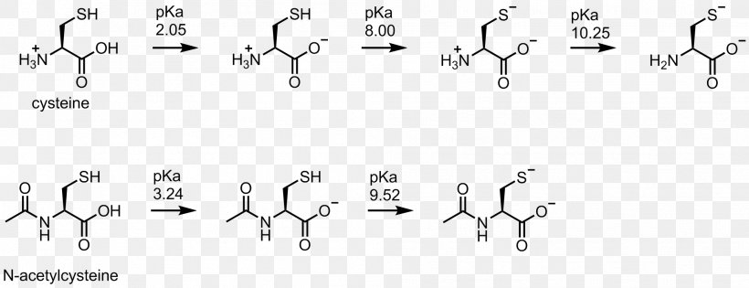 Cysteine Methionine Deprotonation Thiol PKa, PNG, 1978x762px, Watercolor, Cartoon, Flower, Frame, Heart Download Free