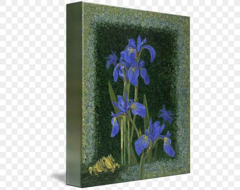 Irises Bellflower Family Gallery Wrap Art Printmaking, PNG, 493x650px, Irises, Art, Bellflower Family, Bellflowers, Blue Download Free