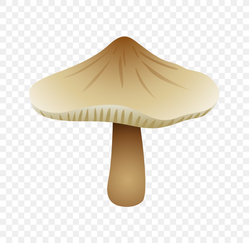Mushroom Fungus Shiitake, PNG, 800x800px, Mushroom, Agaricus Arvensis, Food, Fungus, Gratis Download Free