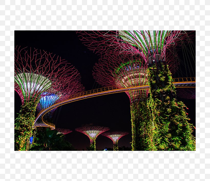 Sentosa Dubai Gardens By The Bay Travel India, PNG, 708x708px, Sentosa, Asia, Beach, Dubai, Gardens By The Bay Download Free