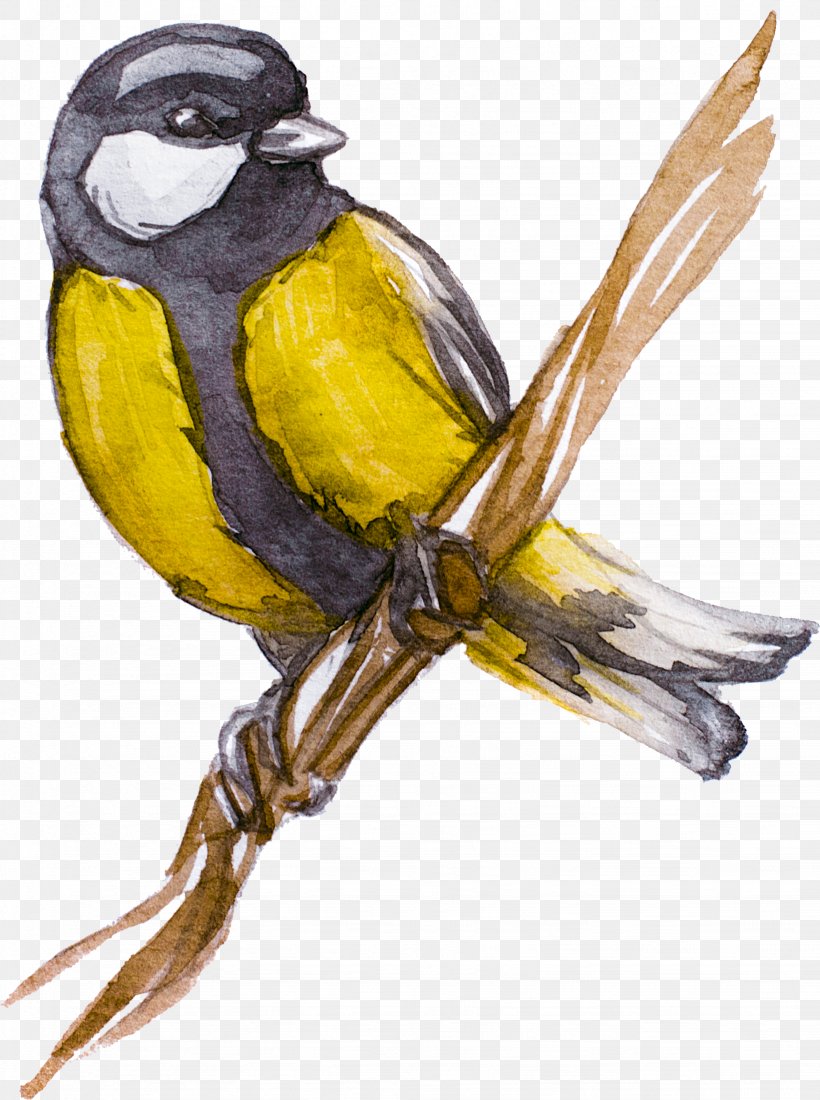 T-shirt Creative Watercolor Watercolor Painting Bird Paper, PNG, 1642x2203px, 2018, Tshirt, Beak, Bird, Creative Watercolor Download Free