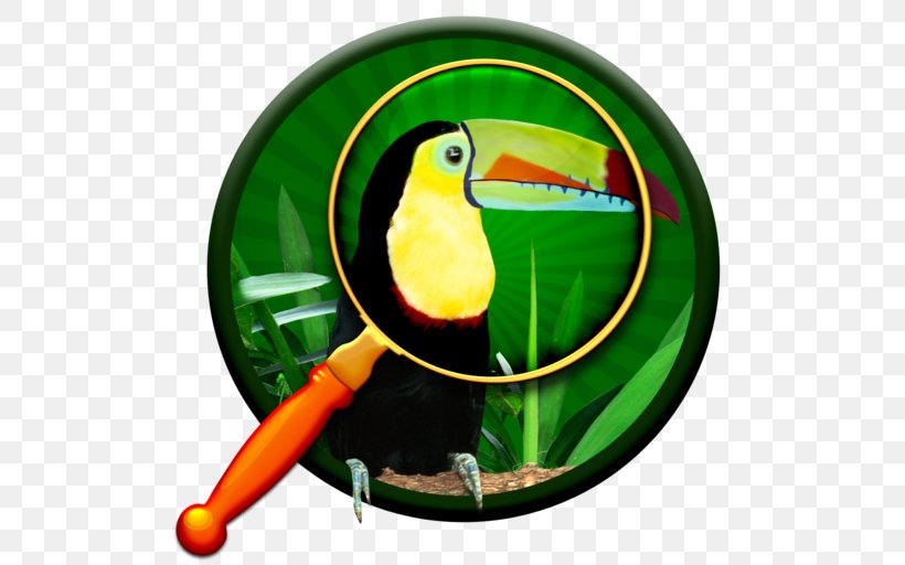 Toucan Parrot Beak Fauna, PNG, 512x512px, Toucan, Beak, Bird, Fauna, Parrot Download Free