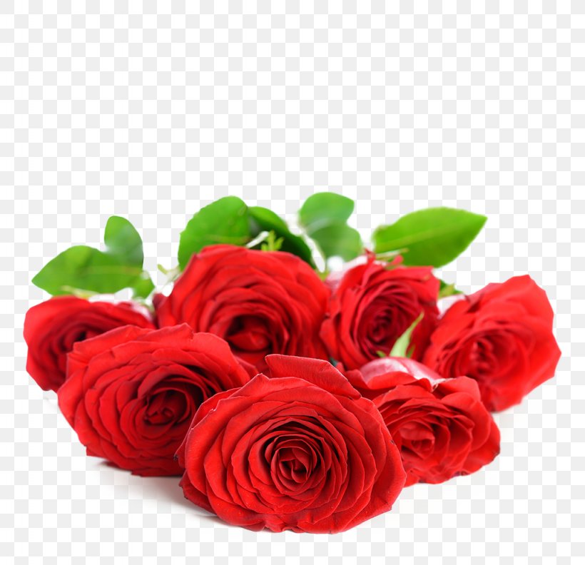 Damask Rose Flower Wallpaper, PNG, 1024x990px, Damask Rose, Artificial Flower, Color, Cut Flowers, Display Resolution Download Free
