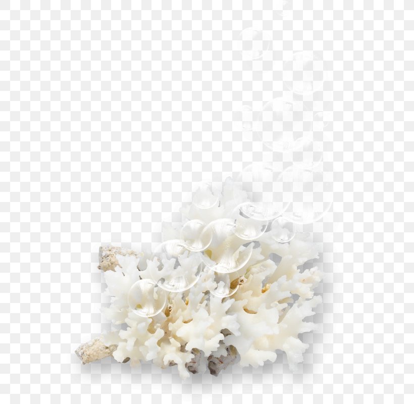 Hair Clothing Accessories, PNG, 563x800px, Hair, Clothing Accessories, Hair Accessory, Petal, White Download Free