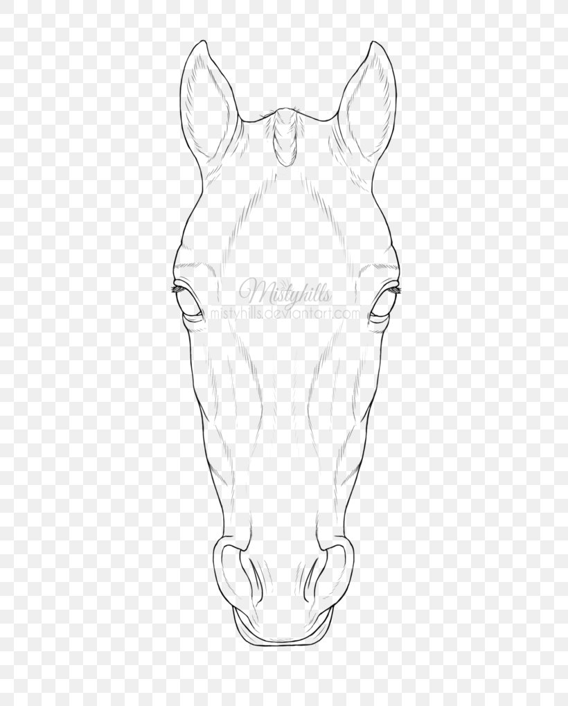 Horse Drawing Line Art Snout Sketch, PNG, 600x1019px, Horse, Animal, Artwork, Black And White, Drawing Download Free