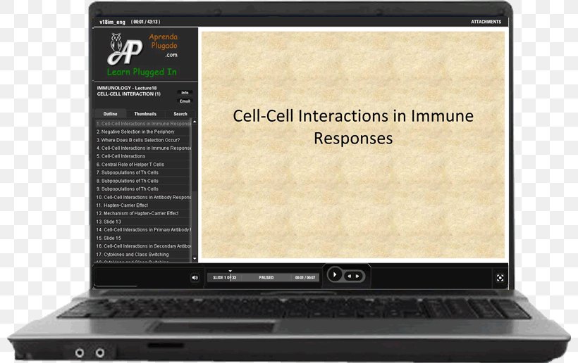 Immunology Antigen Lecture Immunity Cytokine, PNG, 800x516px, Immunology, Antibody, Antigen, Cell, Computer Download Free
