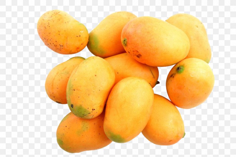 Mango Fruit Photography Auglis, PNG, 1000x669px, Mango, Apricot, Auglis, Bouea Macrophylla, Citrus Download Free
