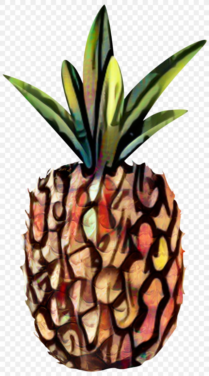 Pineapple, PNG, 1388x2500px, Pineapple, Ananas, Bromeliaceae, Flowering Plant, Food Download Free