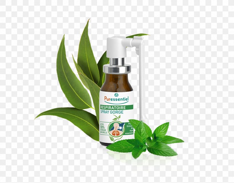 Sore Throat Respiratory System Health Oil, PNG, 970x760px, Throat, Aromatherapy, Coneflower, Essential Oil, Food Download Free